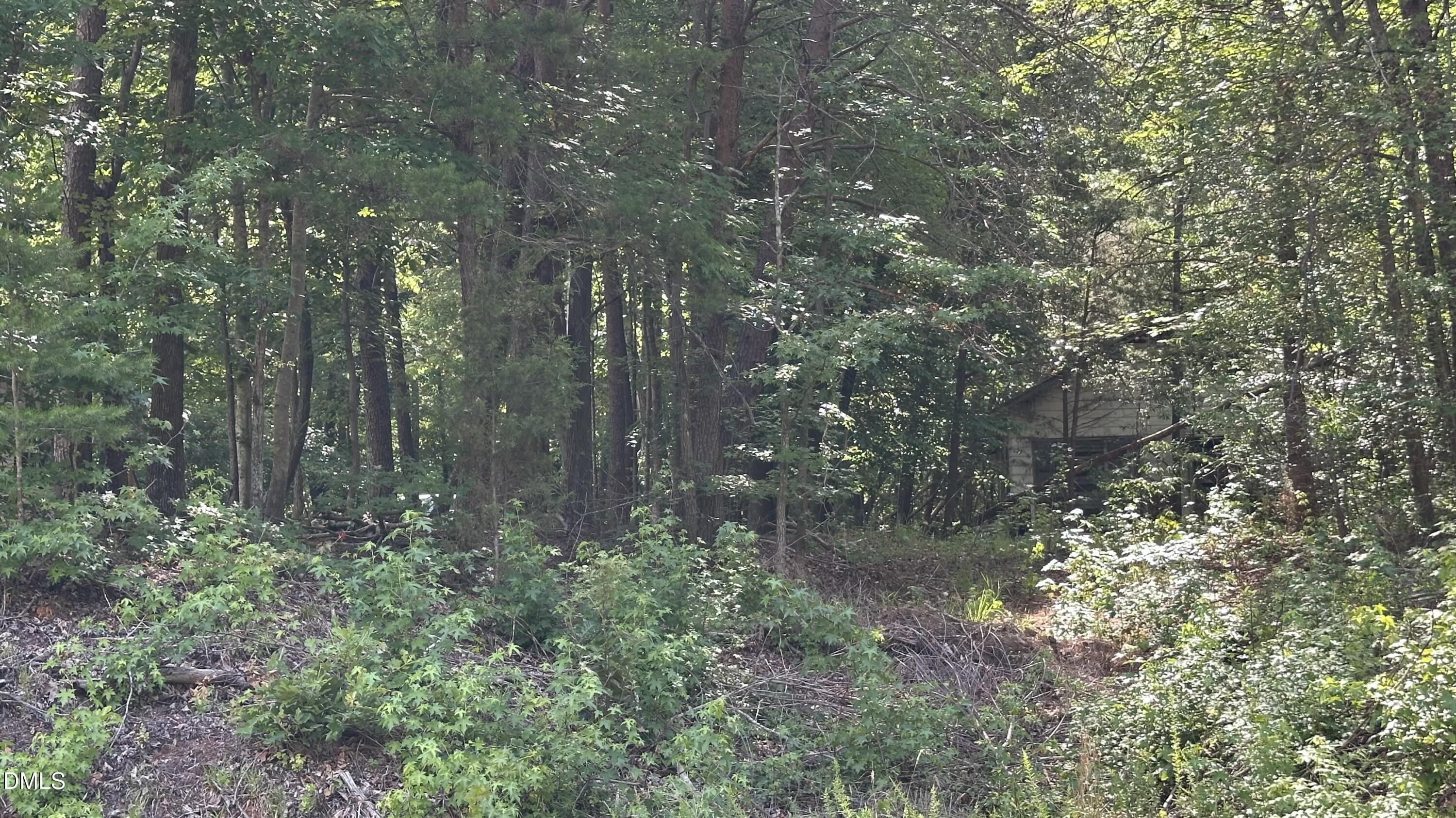 3016 Carver Road Rougemont, NC 27572 - Photo 4 of 9