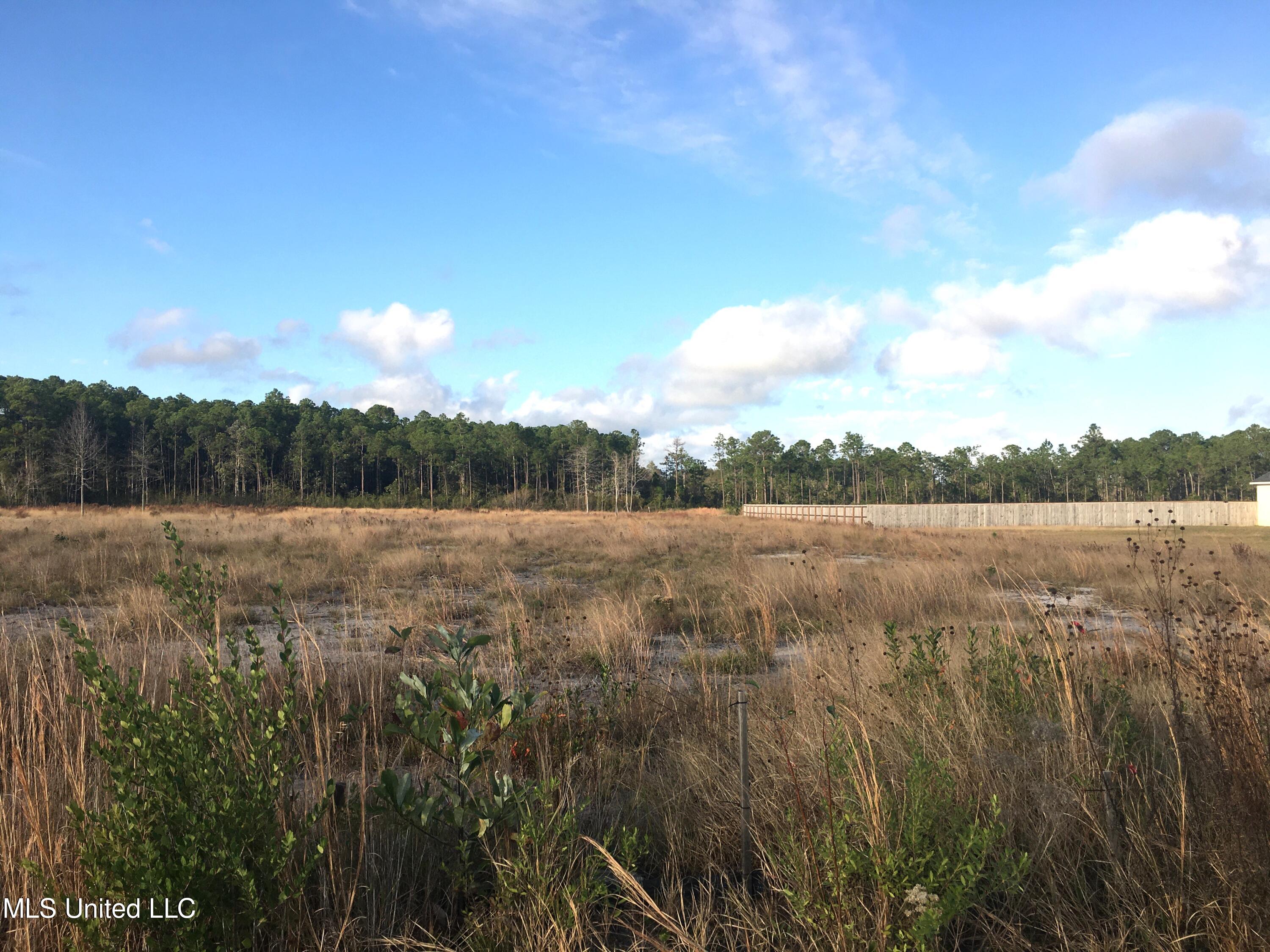 8550 Old CCC Camp Road Ocean Springs, MS 39564 - Photo 1 of 1 IMG_3752