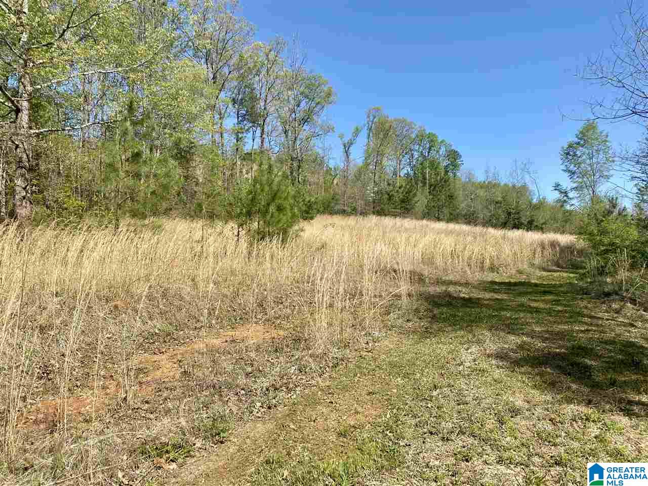 4201 Bristow Cove Road, Unit 1 Boaz, AL 35956 - Photo 11 of 23
