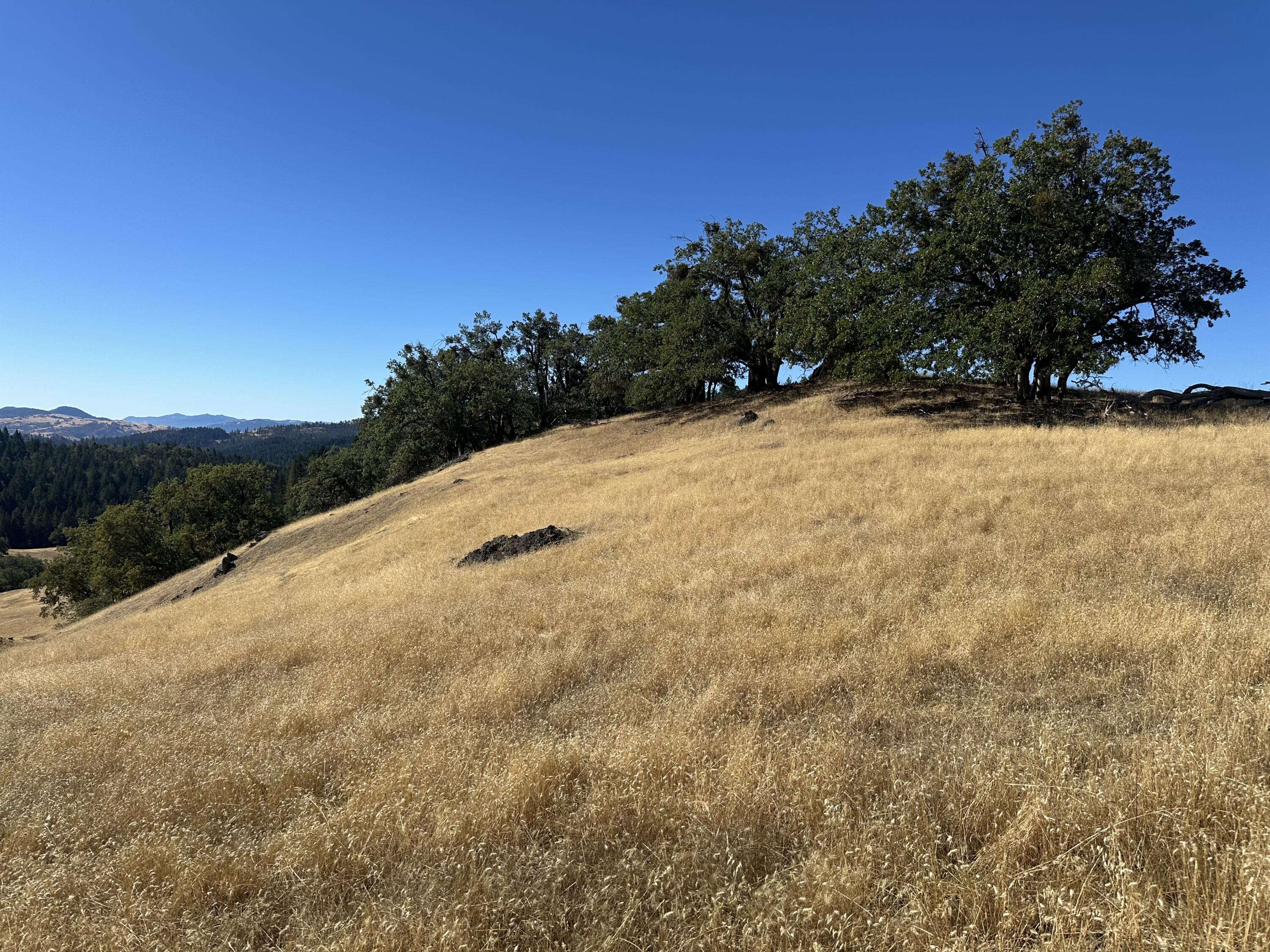 751 Lassic's Lookout Road Zenia, CA 95595 - Photo 10 of 29