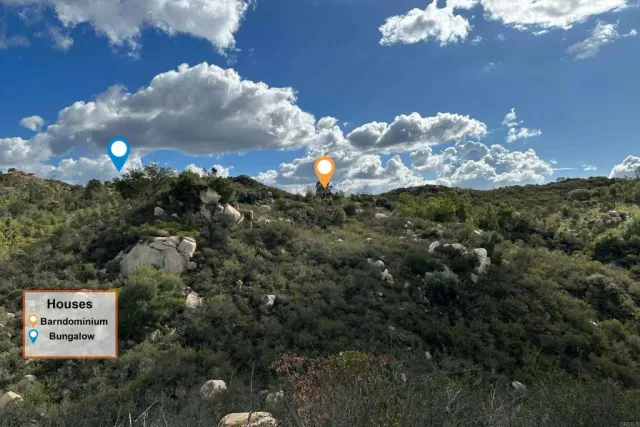 a view of a bunch of flowers in a back yard