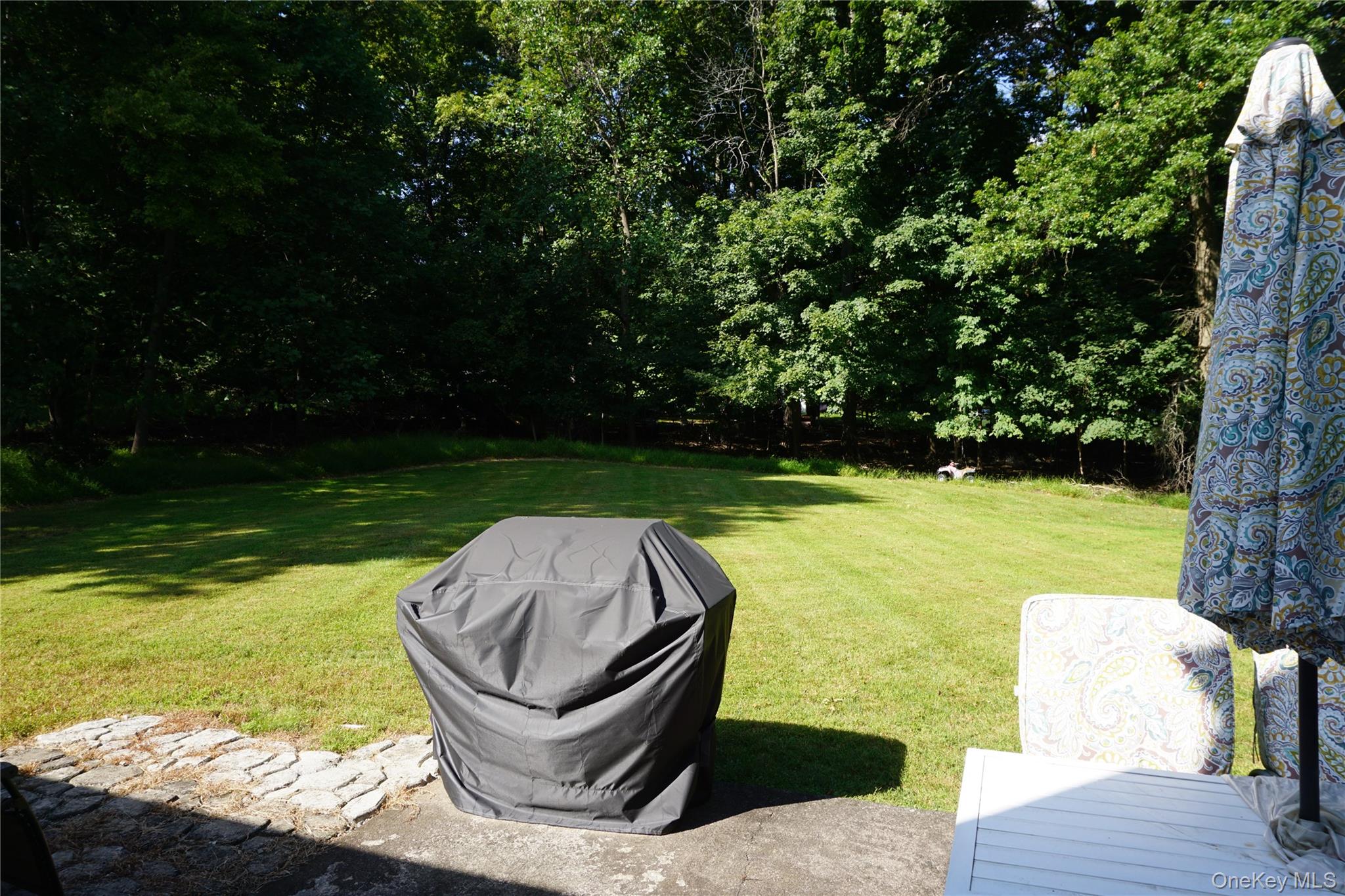 15 Greenridge Way Spring Valley, NY 10977 - Photo 16 of 17 View of green lawn