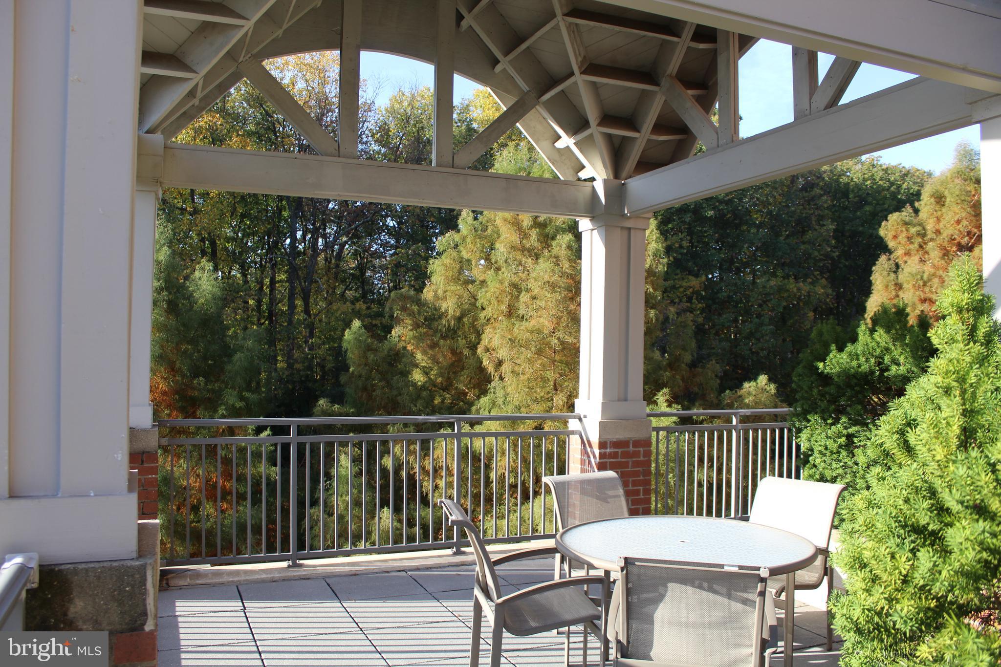 11760 Sunrise Valley Drive, Unit 301 Reston, VA 20191 - Photo 40 of 44 Amenities: Covered Patio