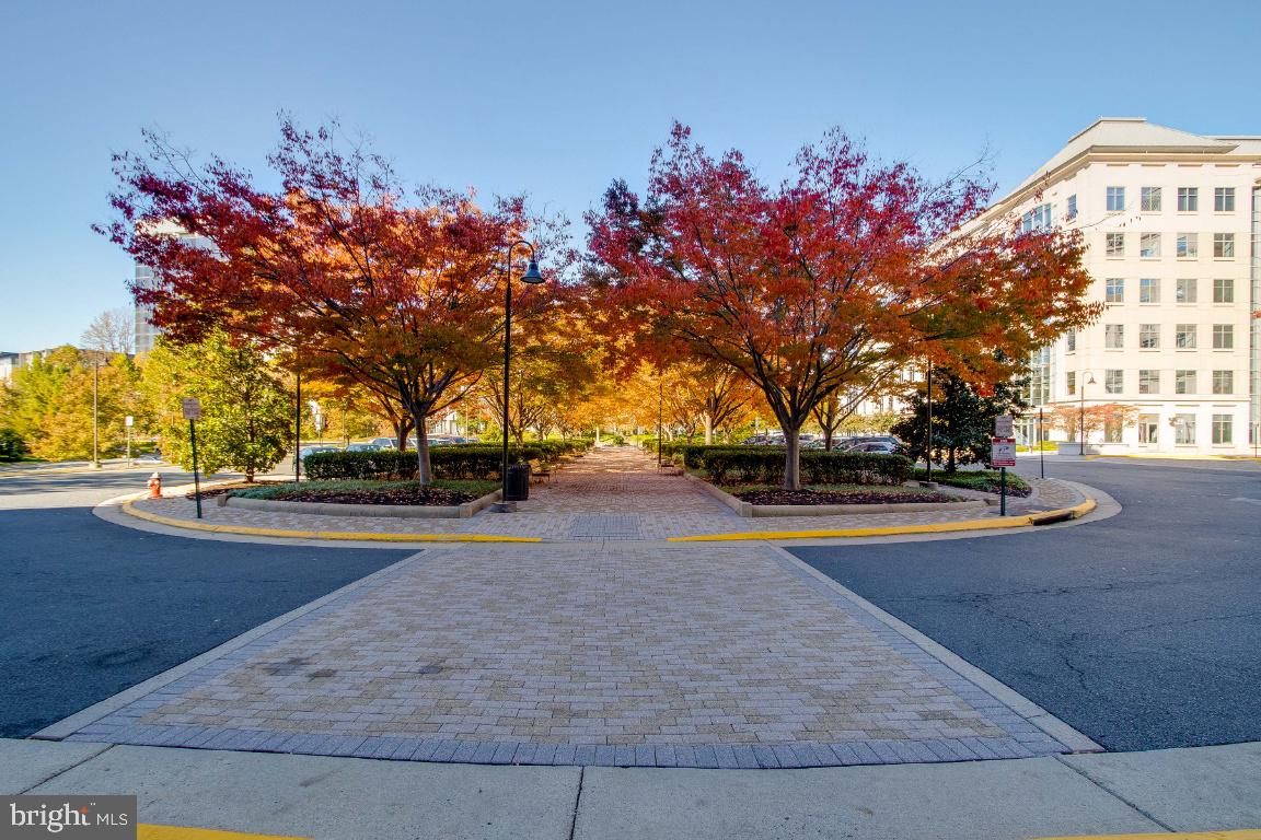 11760 Sunrise Valley Drive, Unit 301 Reston, VA 20191 - Photo 5 of 44 Amenities
