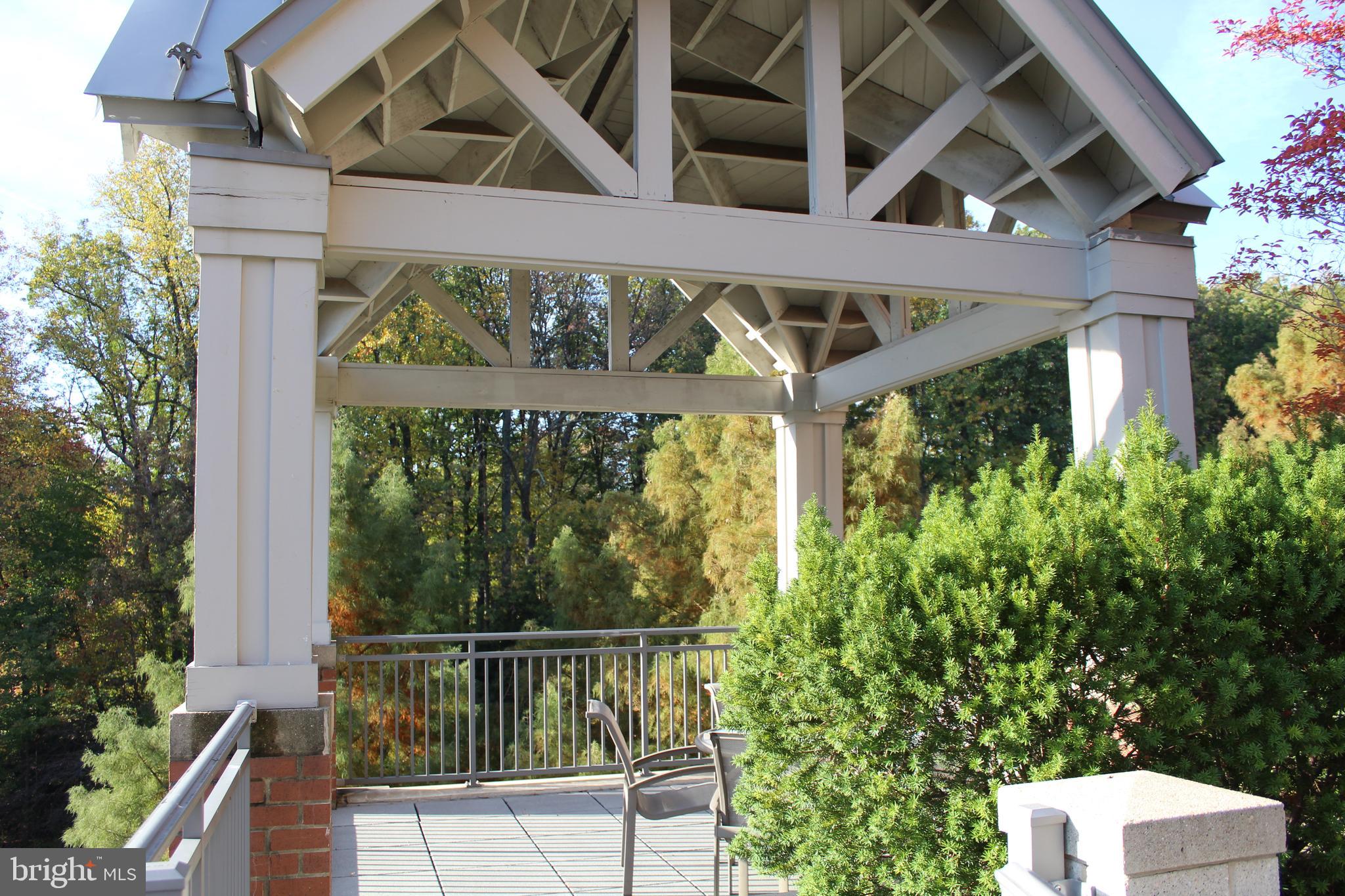 11760 Sunrise Valley Drive, Unit 301 Reston, VA 20191 - Photo 41 of 44 Amenities: Covered Patio