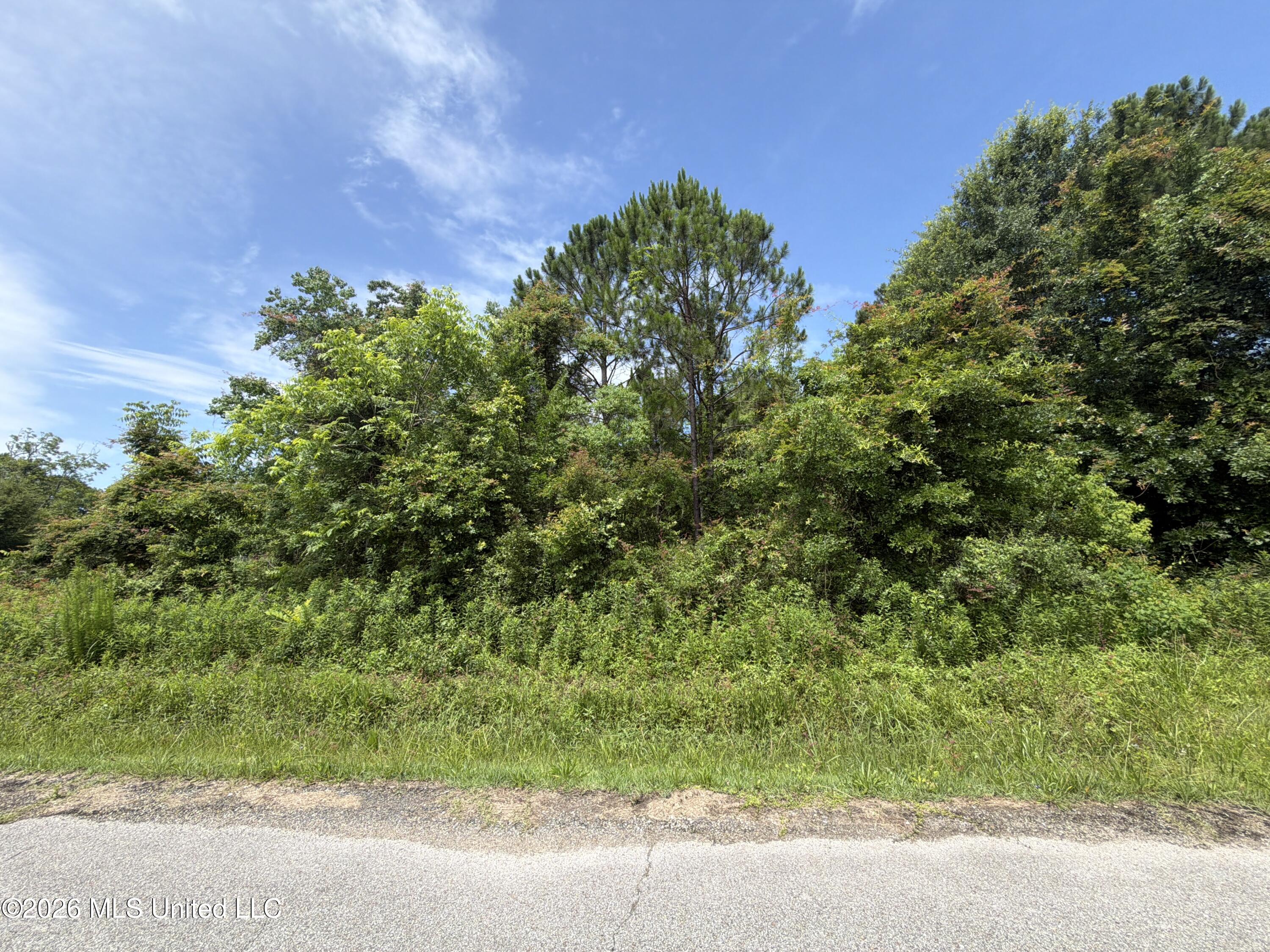 5921 M And L Road Biloxi, MS 39532 - Photo 7 of 10 06