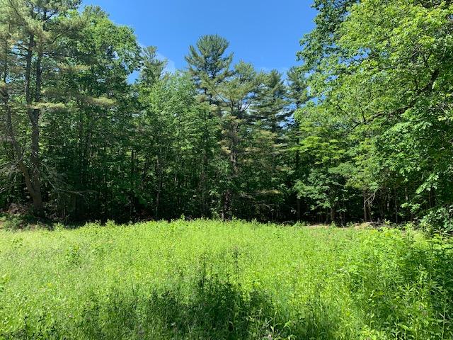 Lot 1 South Town Farm Road Oxford, ME 04270 - Photo 2 of 8 IMG_0501