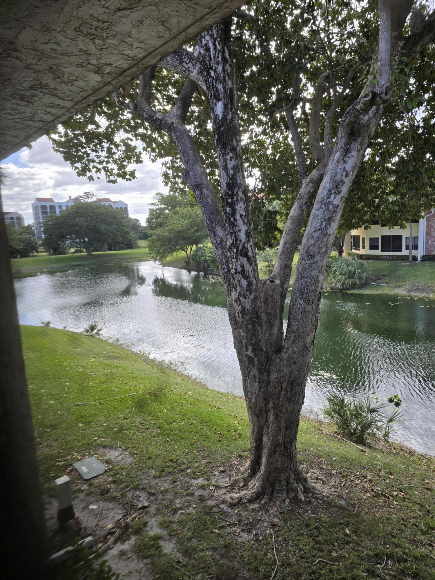 7484 La Paz Boulevard, Unit 203 Boca Raton, FL 33433 - Photo 29 of 30 1000042811