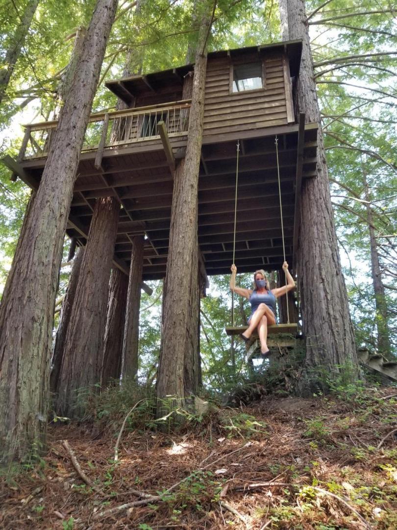 3030 Pleasant Valley Road Aptos, CA 95003 - Photo 70 of 70 a view of a small house with a yard and large trees