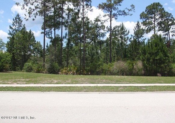 6066 Shadehill Road Jacksonville, FL 32258 - Photo 40 of 48 Wooded View Across The Street