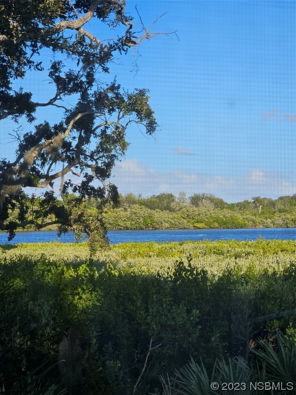 333 Schooner Avenue Edgewater, FL 32141 - Photo 22 of 31 a view of a lake with a mountain in the background
