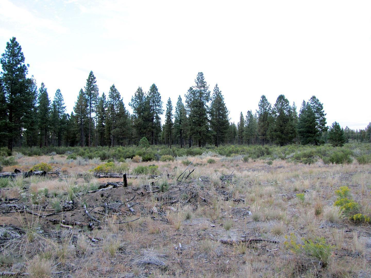 0 Sprague River Road Chiloquin, OR 97624 - Photo 8 of 15 Additional Photo