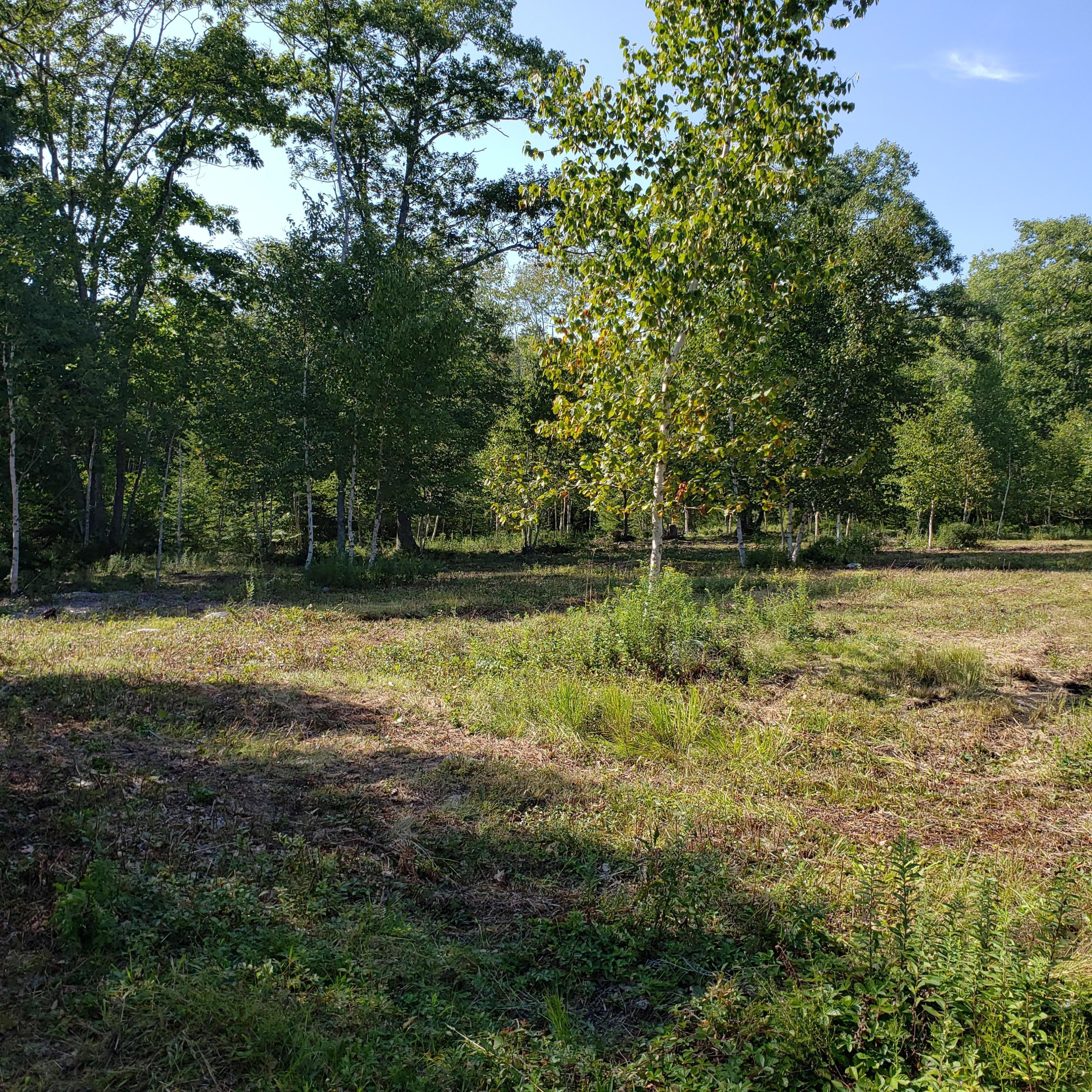 53 Cushing Farm Road New Harbor, ME 04554 - Photo 7 of 17 20190826_152338