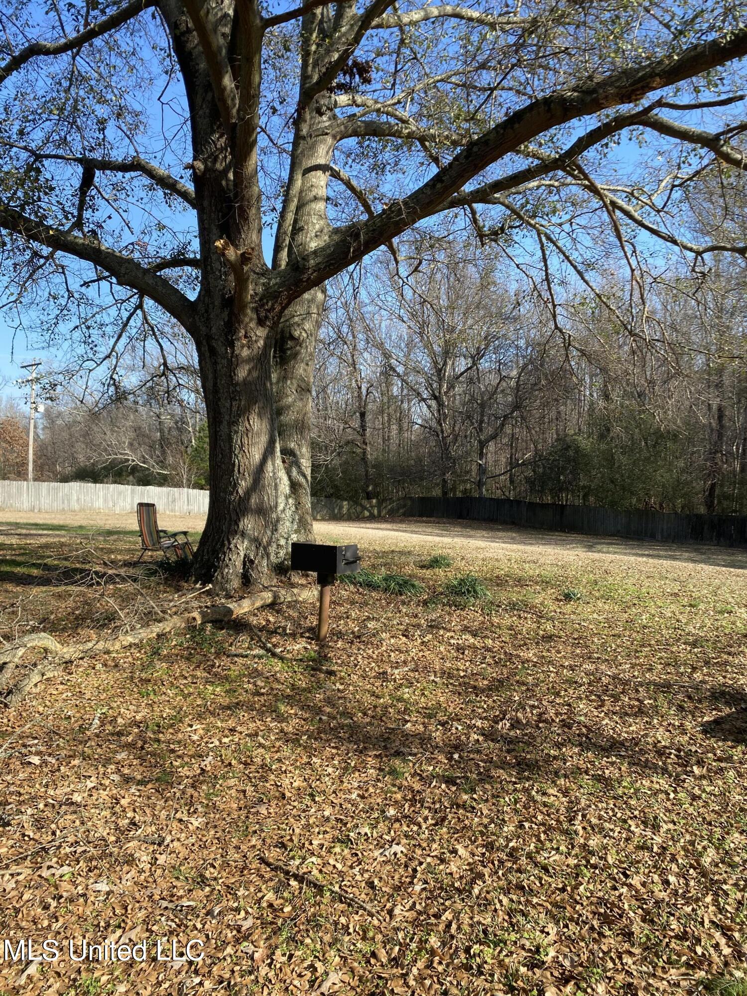 8956 Arkabutla Road Coldwater, MS 38618 - Photo 19 of 22 2022-12-20 11.03.21