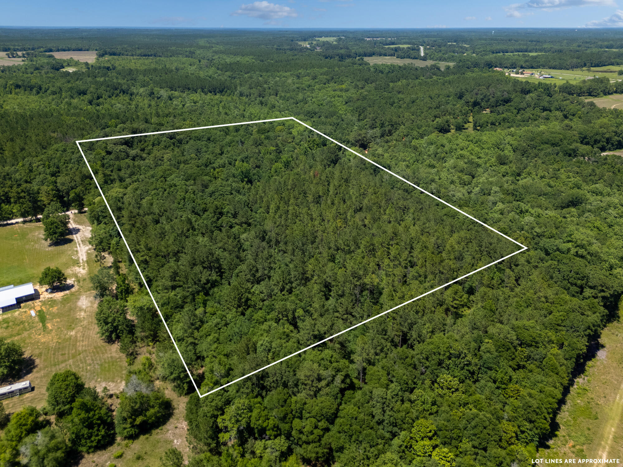0 Varnum Road Laurel Hill, FL 32567 - Photo 12 of 19 a view of a balcony with a forest