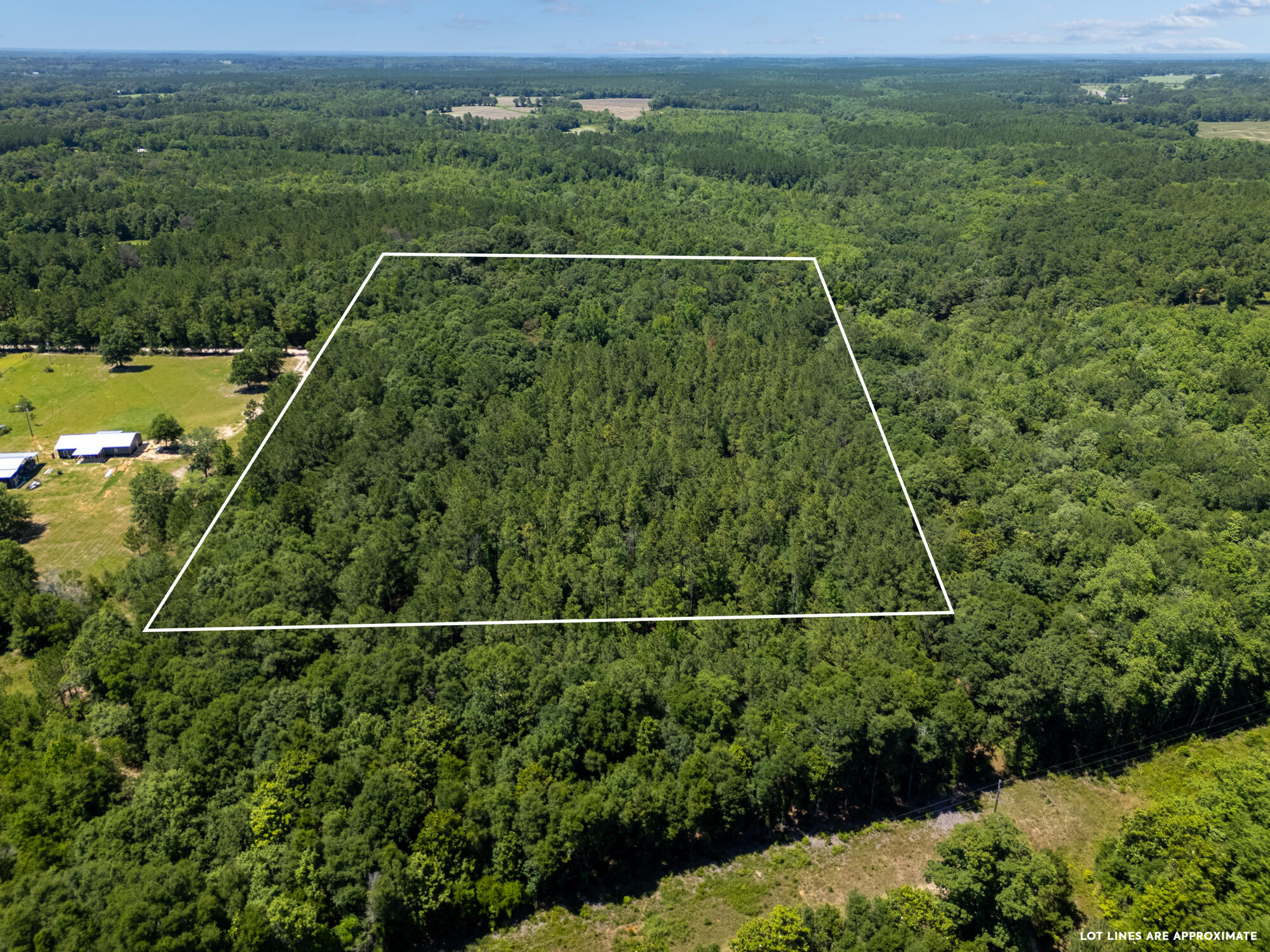 0 Varnum Road Laurel Hill, FL 32567 - Photo 14 of 19 a view of a yard from a balcony
