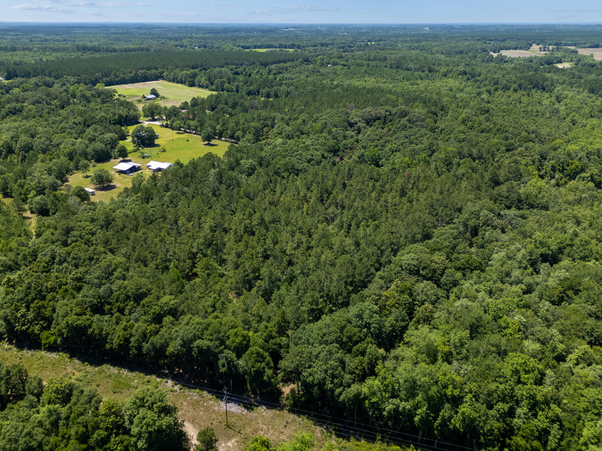 0 Varnum Road Laurel Hill, FL 32567 - Photo 15 of 19 a view of a forest with a street view