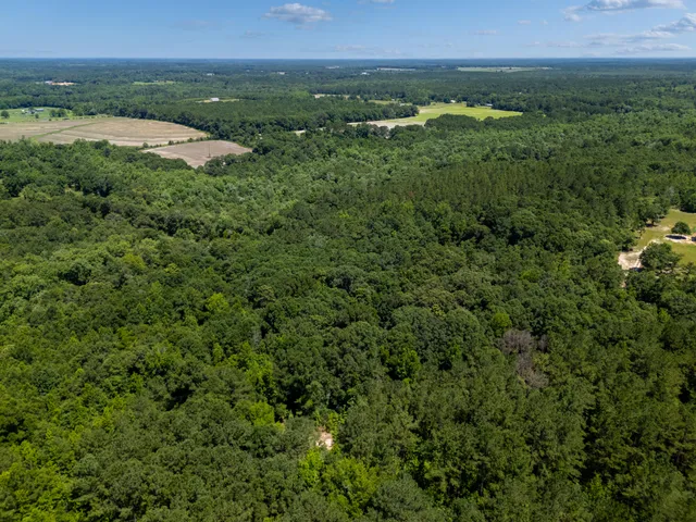 an aerial view of residential houses with outdoor space and trees
