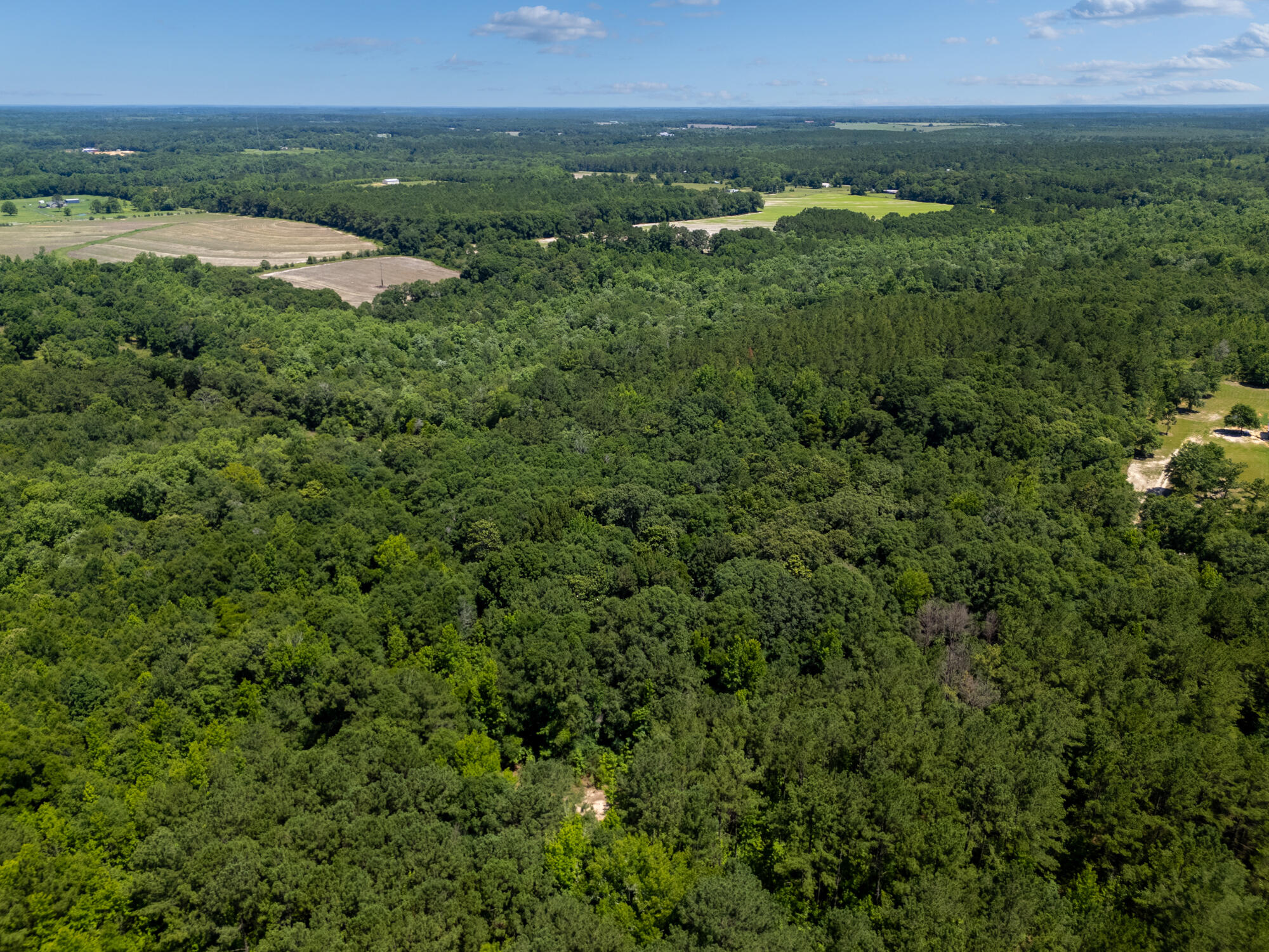 0 Varnum Road Laurel Hill, FL 32567 - Photo 17 of 19 an aerial view of residential houses with outdoor space and trees