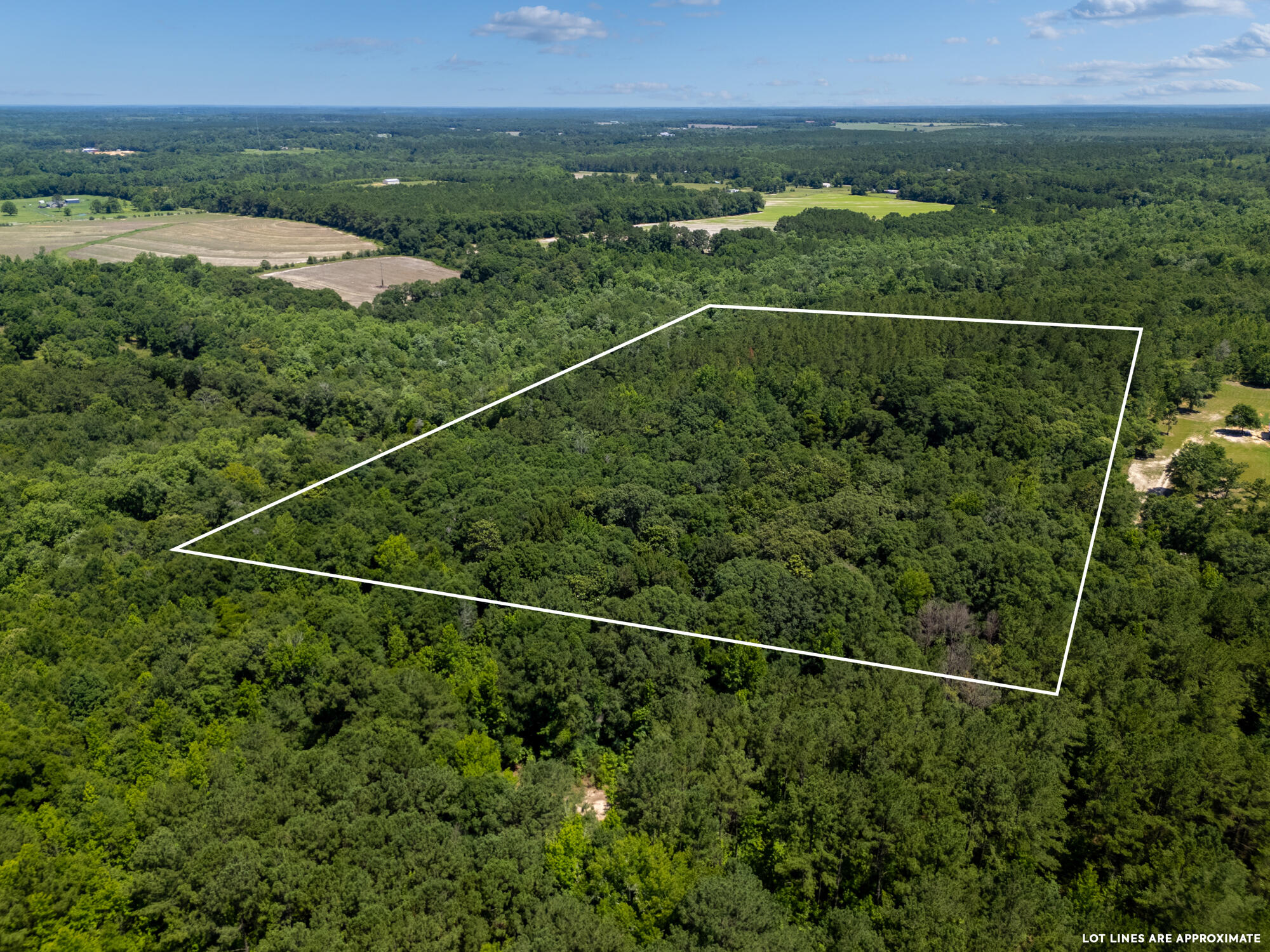 0 Varnum Road Laurel Hill, FL 32567 - Photo 18 of 19 a view of a city and a mountain view