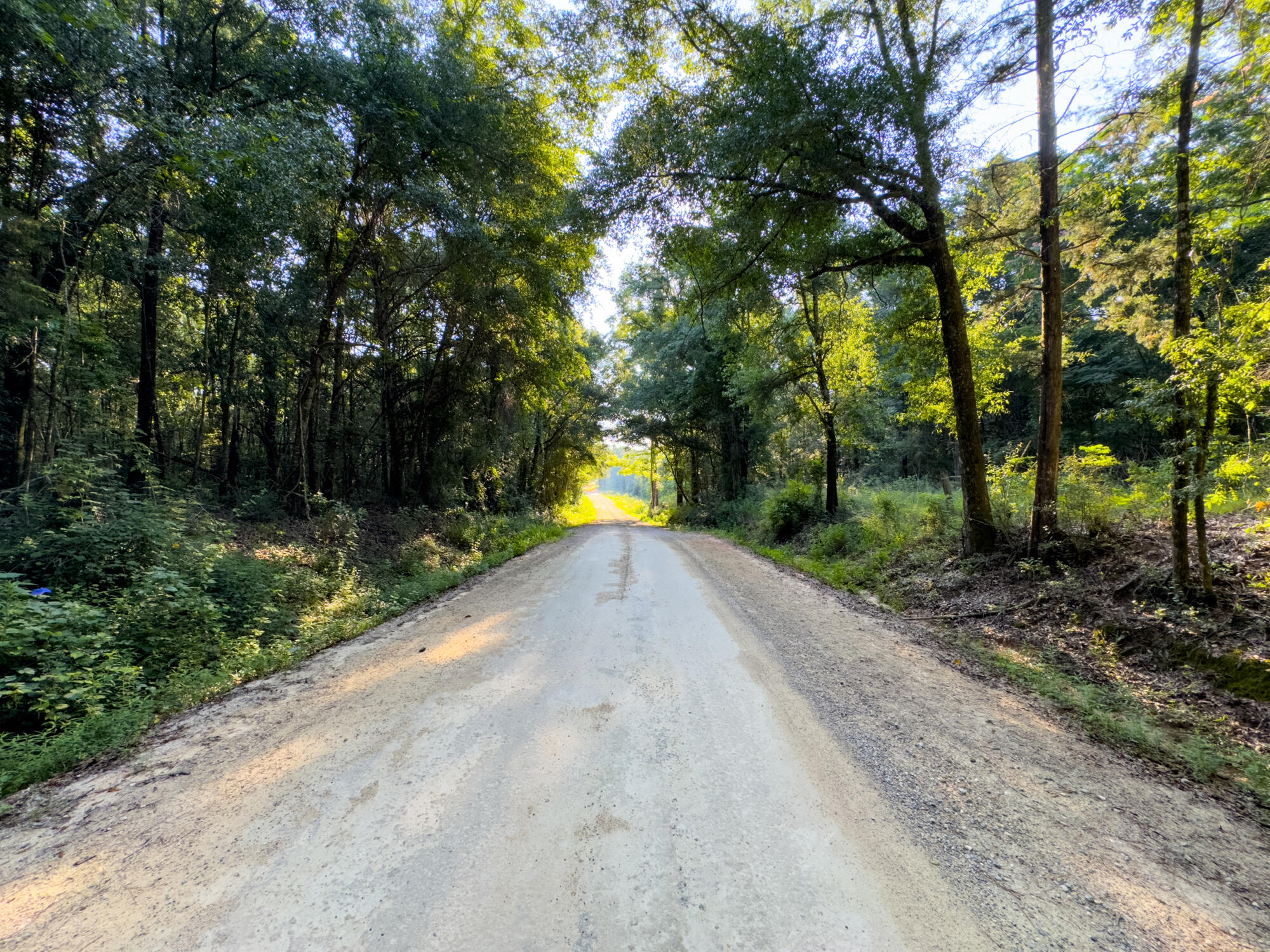 0 Varnum Road Laurel Hill, FL 32567 - Photo 19 of 19 a view of outdoor space and yard