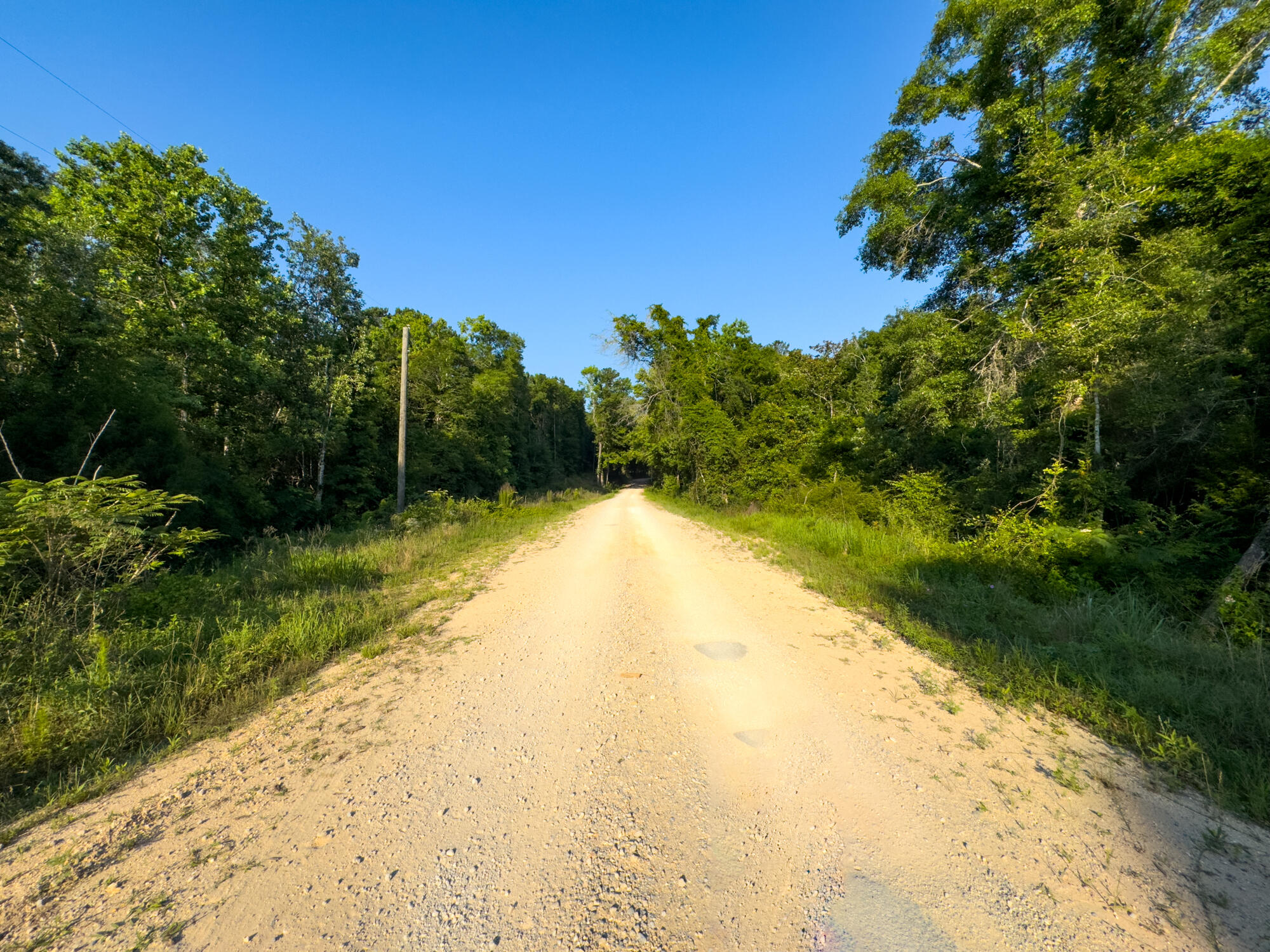 0 Varnum Road Laurel Hill, FL 32567 - Photo 3 of 19 a view of swimming pool with a yard
