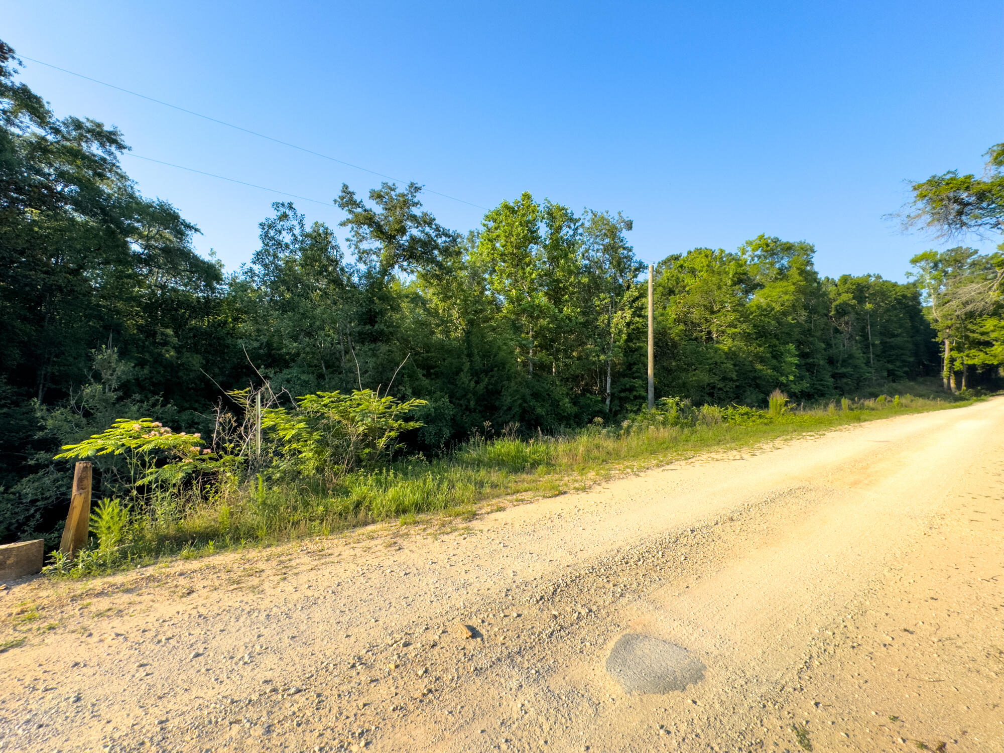 0 Varnum Road Laurel Hill, FL 32567 - Photo 5 of 19 a view of backyard with swimming pool and seating space