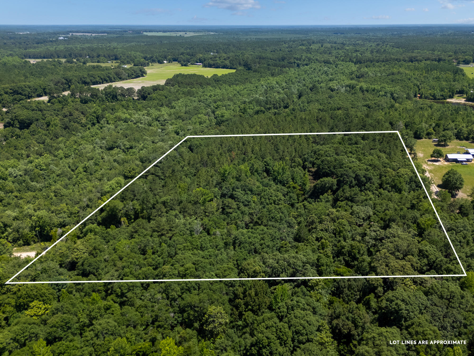 0 Varnum Road Laurel Hill, FL 32567 - Photo 6 of 19 a view of a yard from a balcony