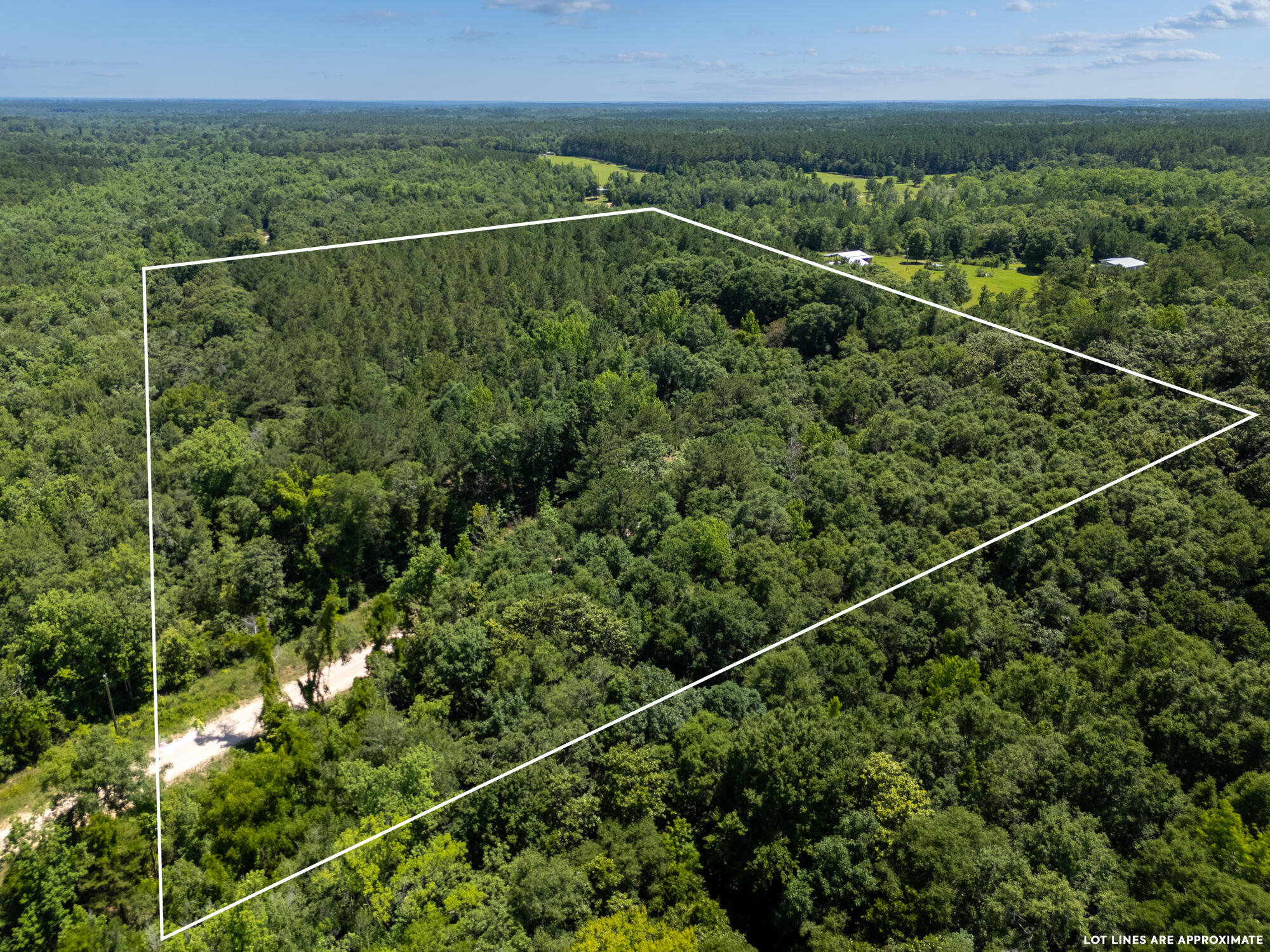 0 Varnum Road Laurel Hill, FL 32567 - Photo 7 of 19 a view of a balcony with a forest