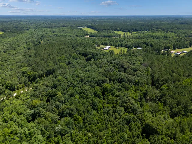 an aerial view of a houses with a yard