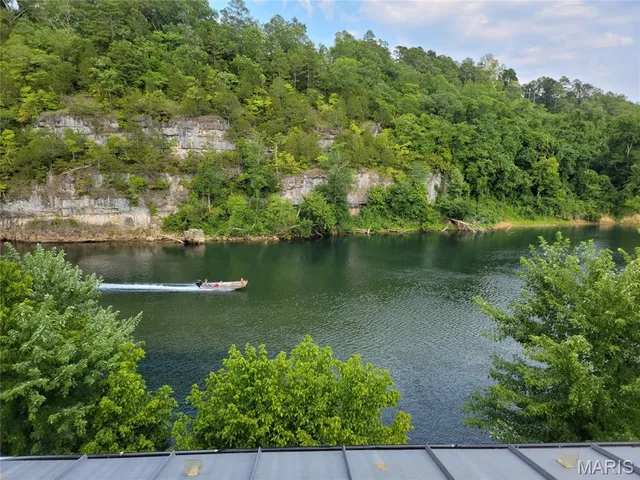 $1,650,000 | 1311 Carter Street, Van Buren, MO 63965