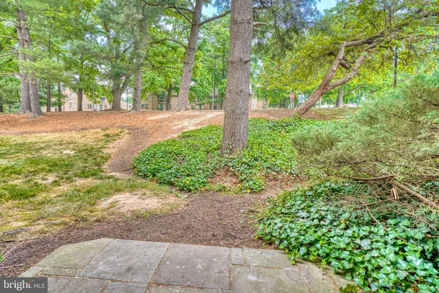 a view of a garden with trees