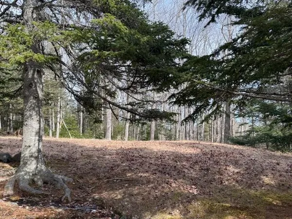 $350,000 | 1 Gator Road, Machiasport, ME 04655