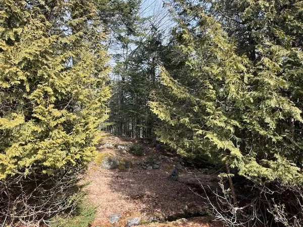 $350,000 | 1 Gator Road, Machiasport, ME 04655