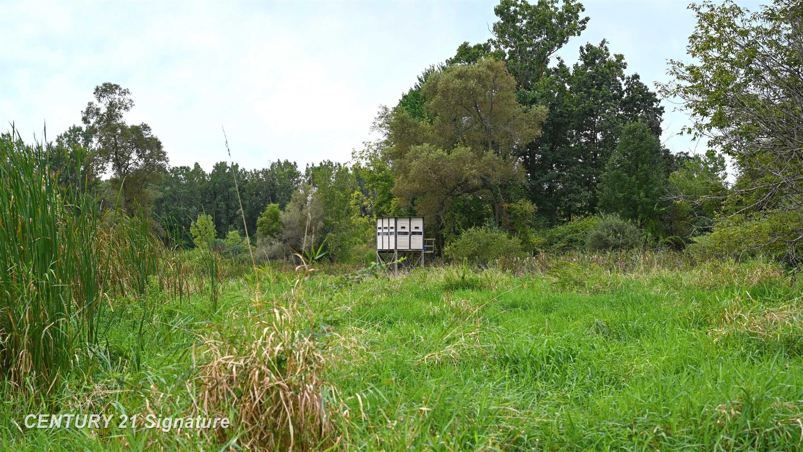 0 Tyrrell Road Owosso, MI 48867 - Photo 10 of 41 Gallery Image 10