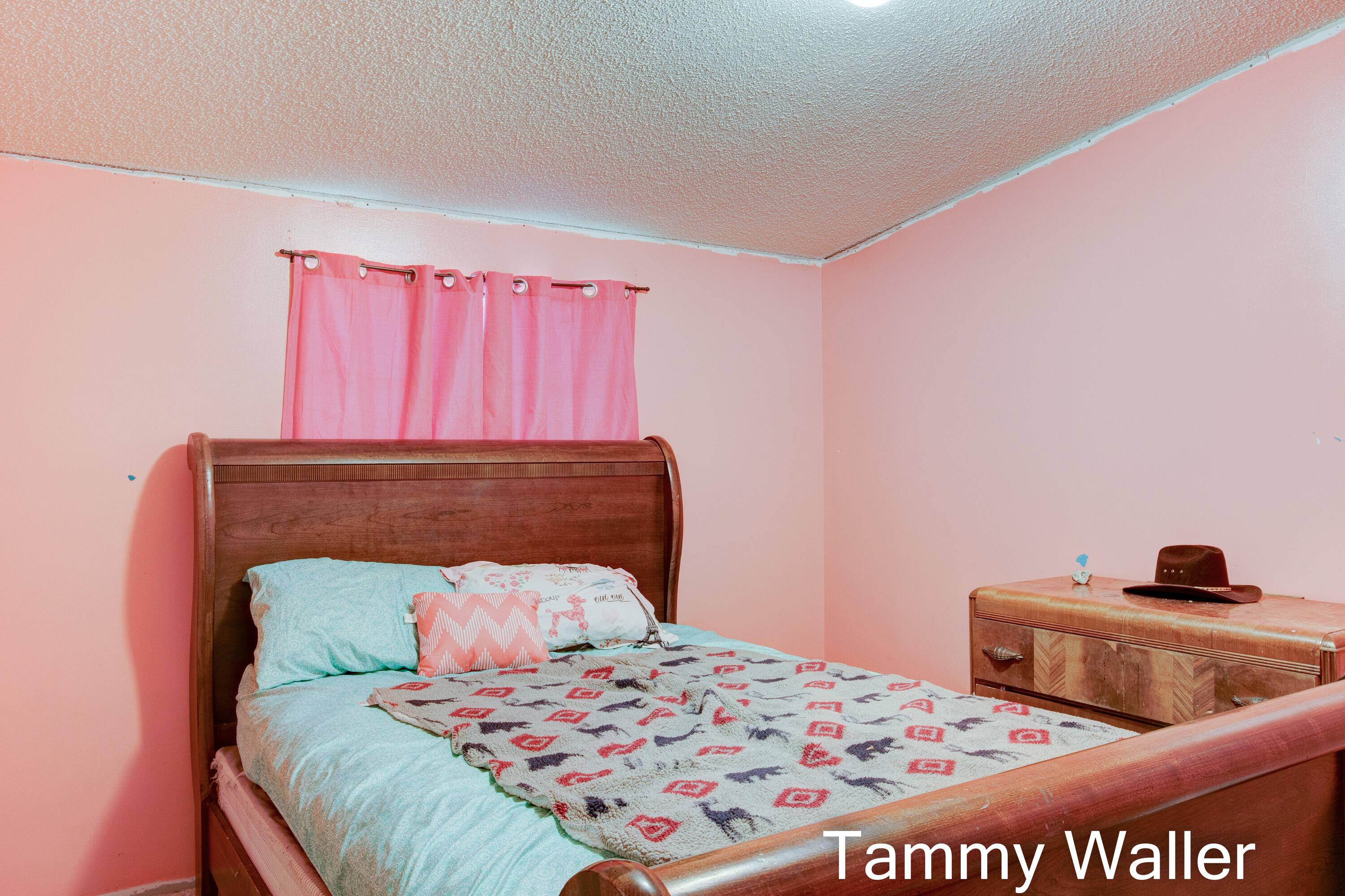 10269 Cottage Road Dowling, MI 49050 - Photo 24 of 61 Interior-12