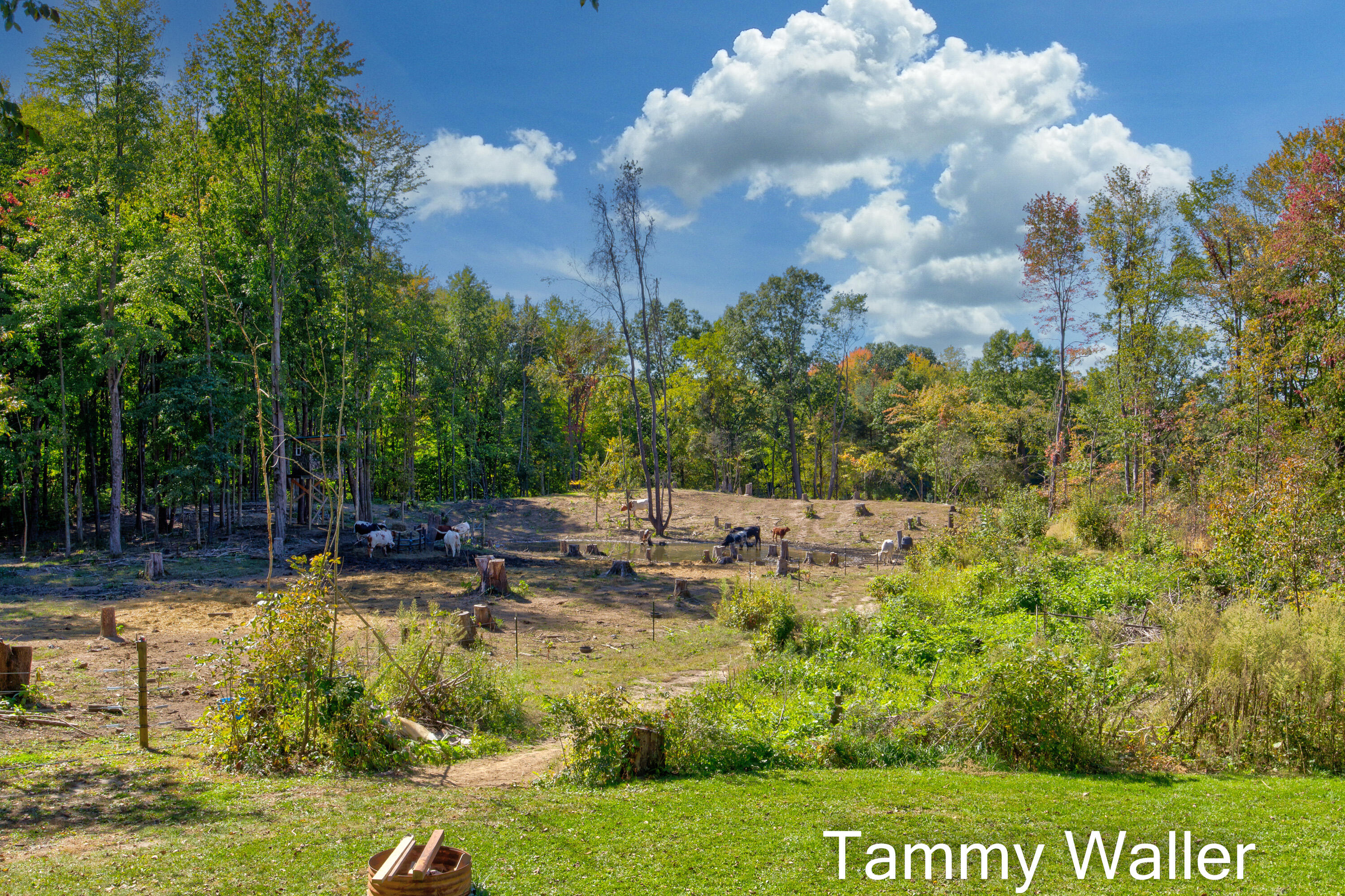 10269 Cottage Road Dowling, MI 49050 - Photo 6 of 61 Exterior-7