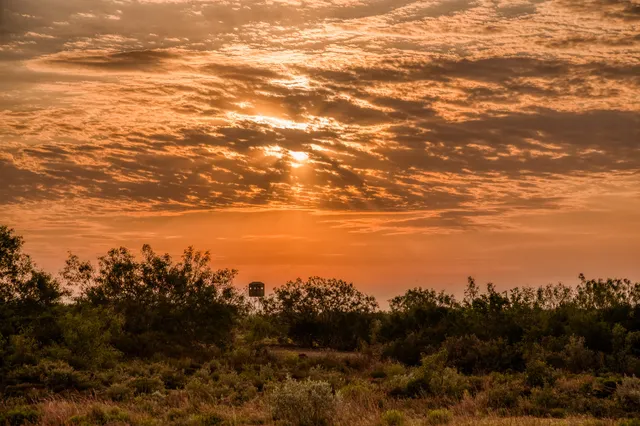 $3,250,000 | 5172 Cr 321 Freer Tx 78357, San Diego, TX 78384