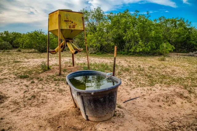 $3,250,000 | 5172 Cr 321 Freer Tx 78357, San Diego, TX 78384