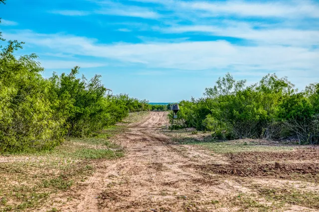 $3,250,000 | 5172 Cr 321 Freer Tx 78357, San Diego, TX 78384