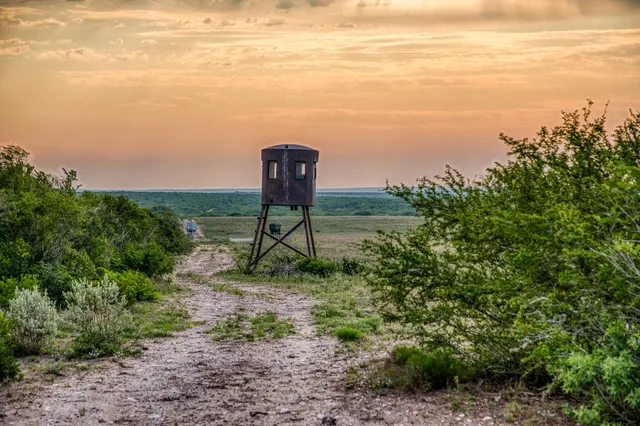 $3,250,000 | 5172 Cr 321 Freer Tx 78357, San Diego, TX 78384