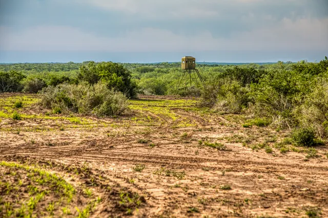 $3,250,000 | 5172 Cr 321 Freer Tx 78357, San Diego, TX 78384