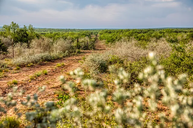 $3,250,000 | 5172 Cr 321 Freer Tx 78357, San Diego, TX 78384