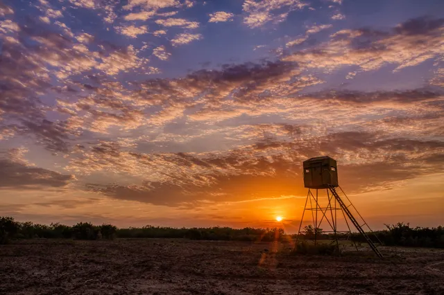 $3,250,000 | 5172 Cr 321 Freer Tx 78357, San Diego, TX 78384