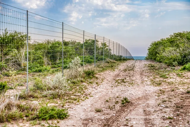 $3,250,000 | 5172 Cr 321 Freer Tx 78357, San Diego, TX 78384