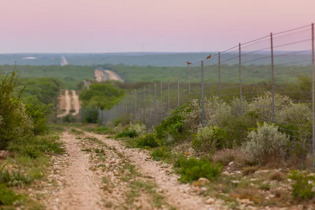 $3,250,000 | 5172 Cr 321 Freer Tx 78357, San Diego, TX 78384