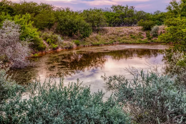 $3,250,000 | 5172 Cr 321 Freer Tx 78357, San Diego, TX 78384