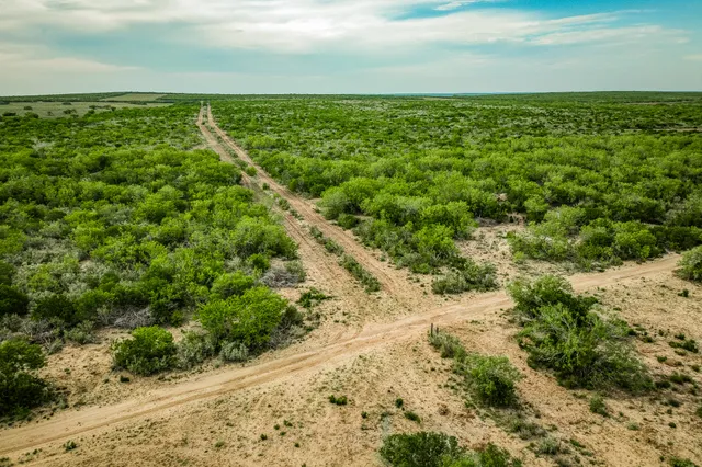 $3,250,000 | 5172 Cr 321 Freer Tx 78357, San Diego, TX 78384