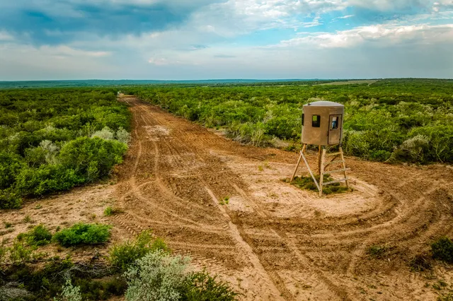 $3,250,000 | 5172 Cr 321 Freer Tx 78357, San Diego, TX 78384