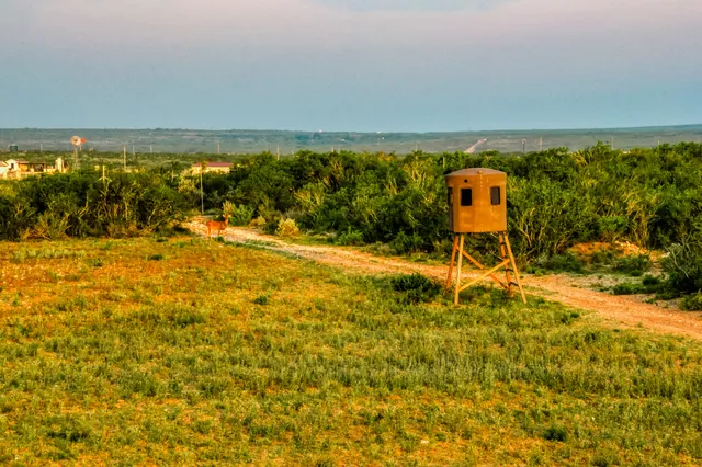 $3,250,000 | 5172 Cr 321 Freer Tx 78357, San Diego, TX 78384